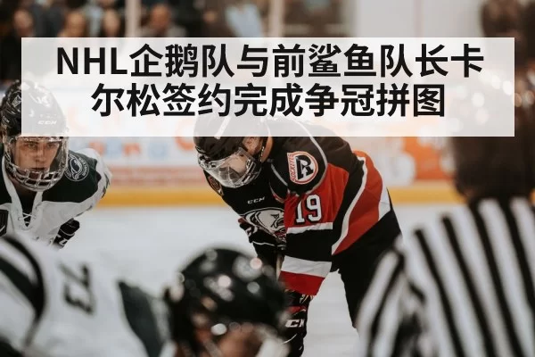 NHL企鹅队与前鲨鱼队长卡尔松签约完成争冠拼图